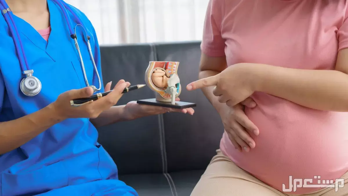 الايام العالمية في شهر مايو 2025.. دليل شامل الأيام العالمية الصحية 2025