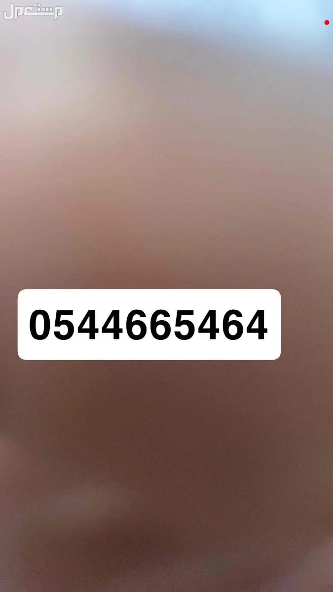 بندقية كريكت 2 تيكتيكال 70 عيار5.5 WST في جدة بسعر 5500 ريال سعودي