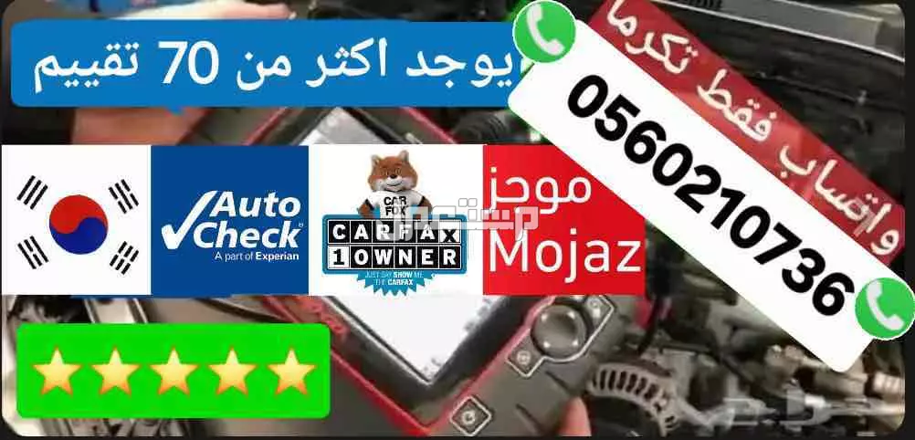تقرير موجز فوري وسريع