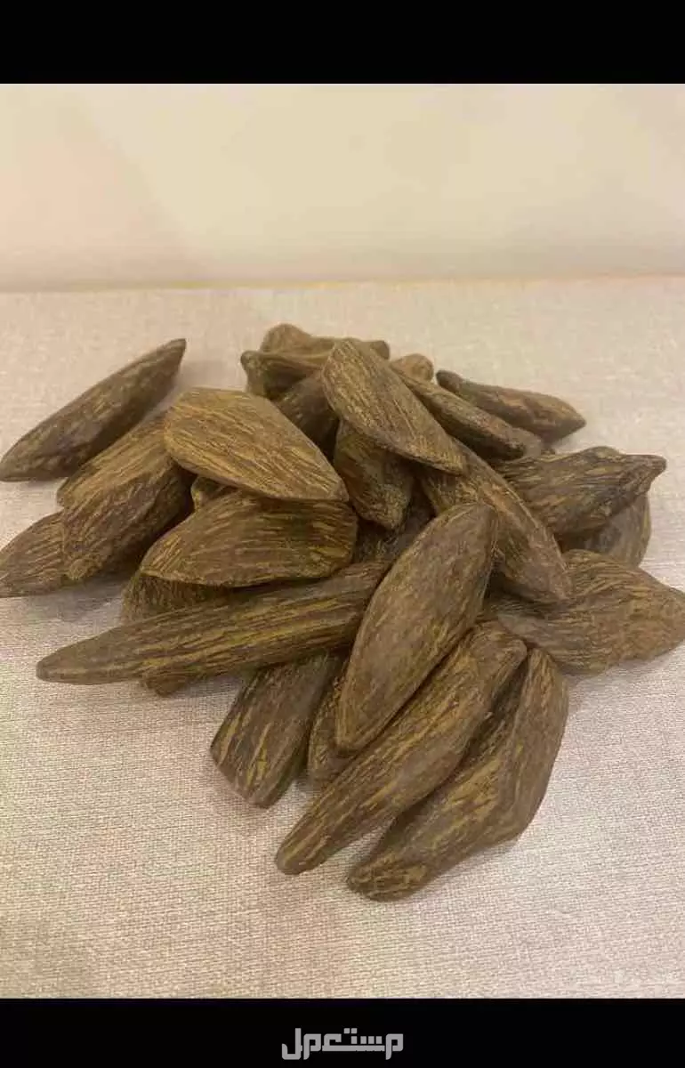 عود المروكي الفاخر في خميس مشيط بسعر 1 ريال سعودي مروكي من الصنف القديم