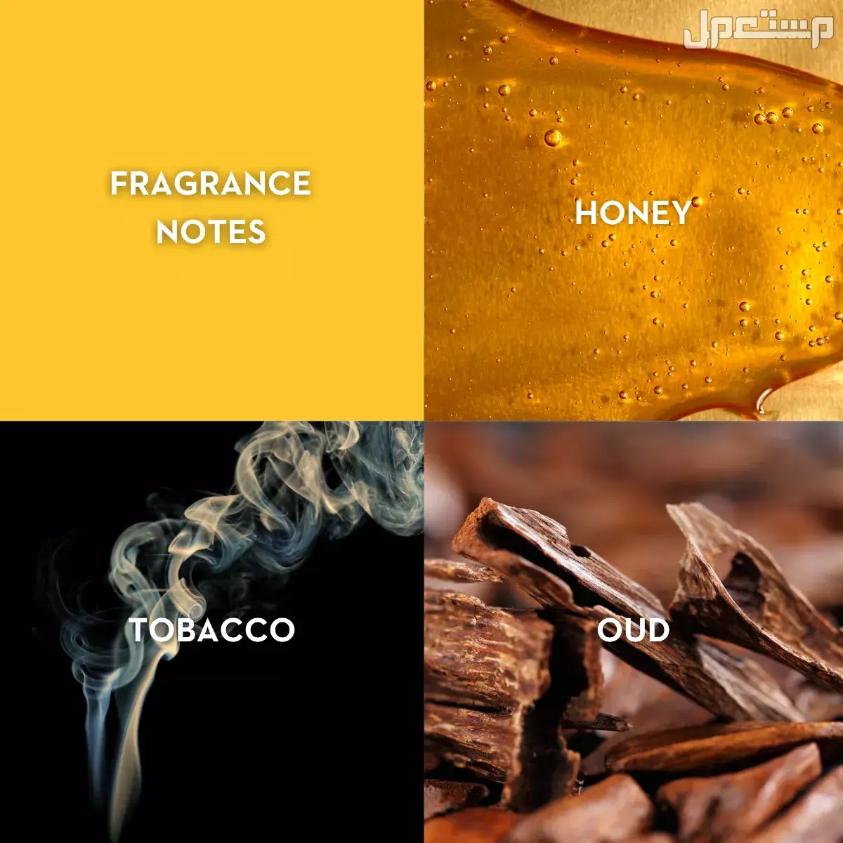 أفضل 10 عطور للجسم في السعودية 2025 تركيبات عطور تجذب النساء