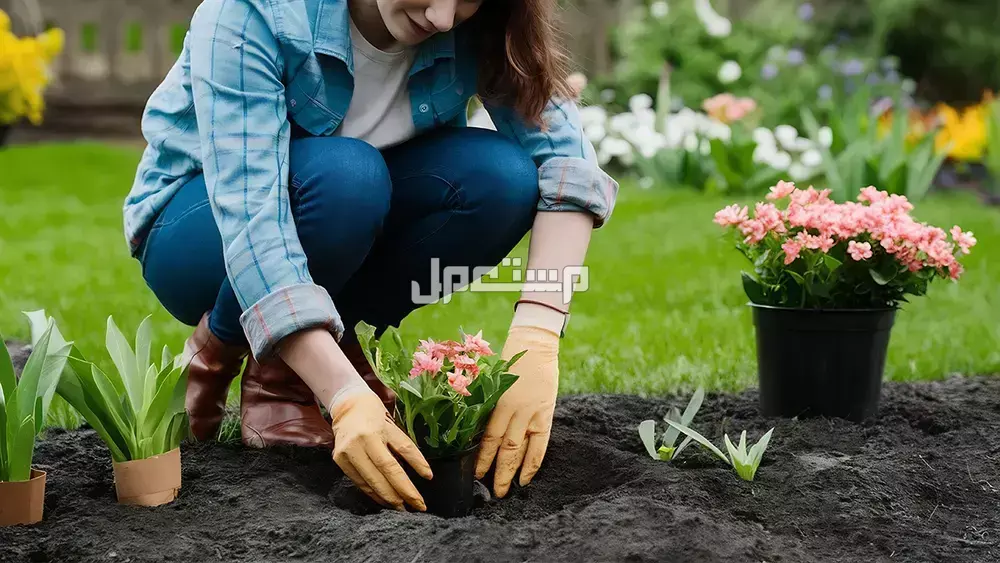 كلام جميل عن بداية شهر جديد 2025.. كلمات راقية ومليئة بالأمل عبارات عن الشهر الجديد