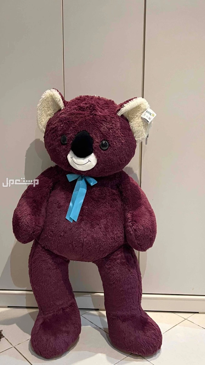 دبدوب كبير نظيف وجديد في الرياض بسعر 300 ريال سعودي