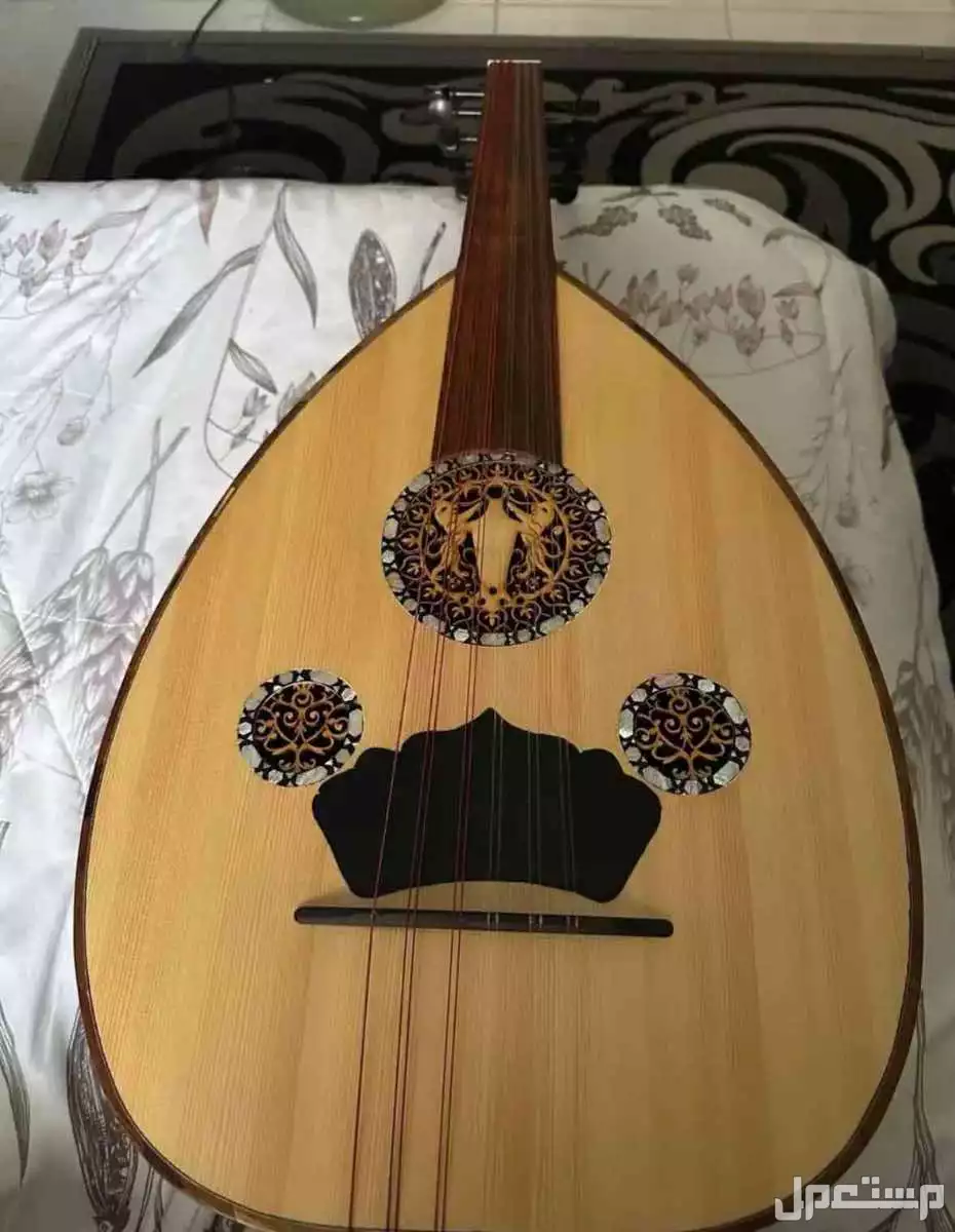 عود شريف حجاج جديد جديد مع شنطته