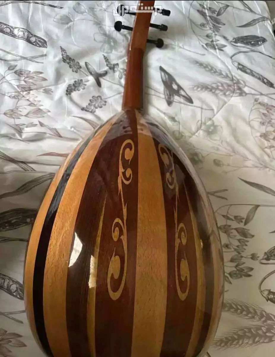 عود شريف حجاج جديد جديد مع شنطته