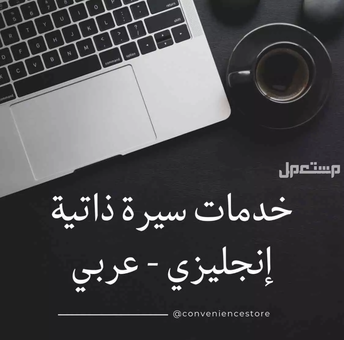 سيرة ذاتية لجميع التخصصات بالانجليزي وعربي - خدمات اخرى
