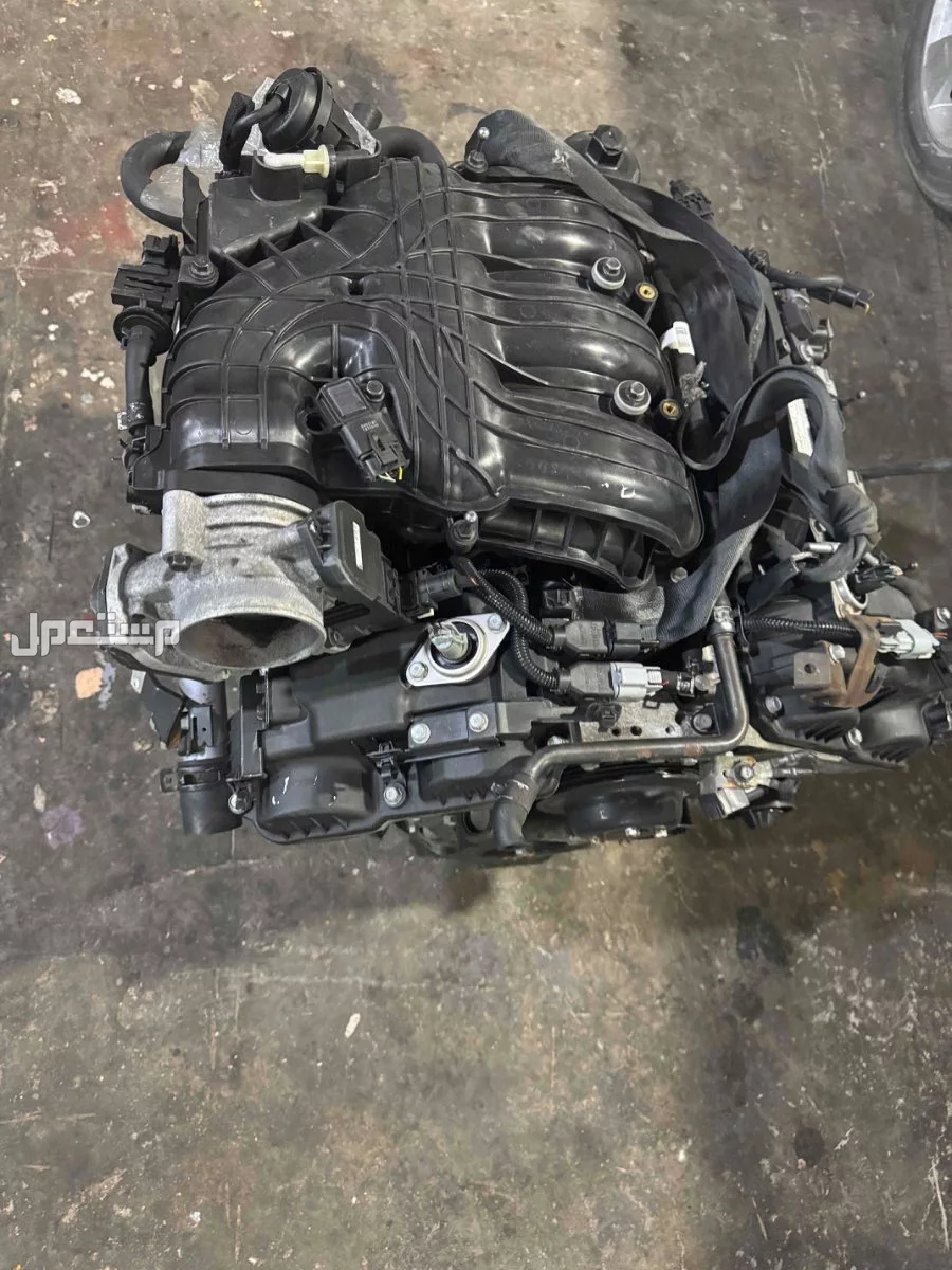 في الرياض مكاين سوناتا مكاين كامري مكاين النترا