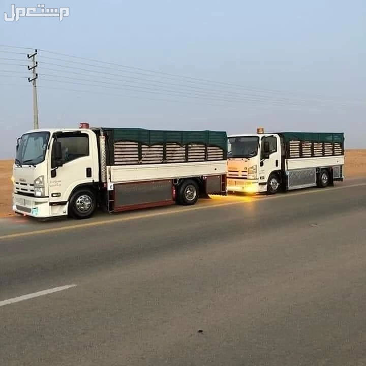 دينا التخلص من العفش القديم بالرياض