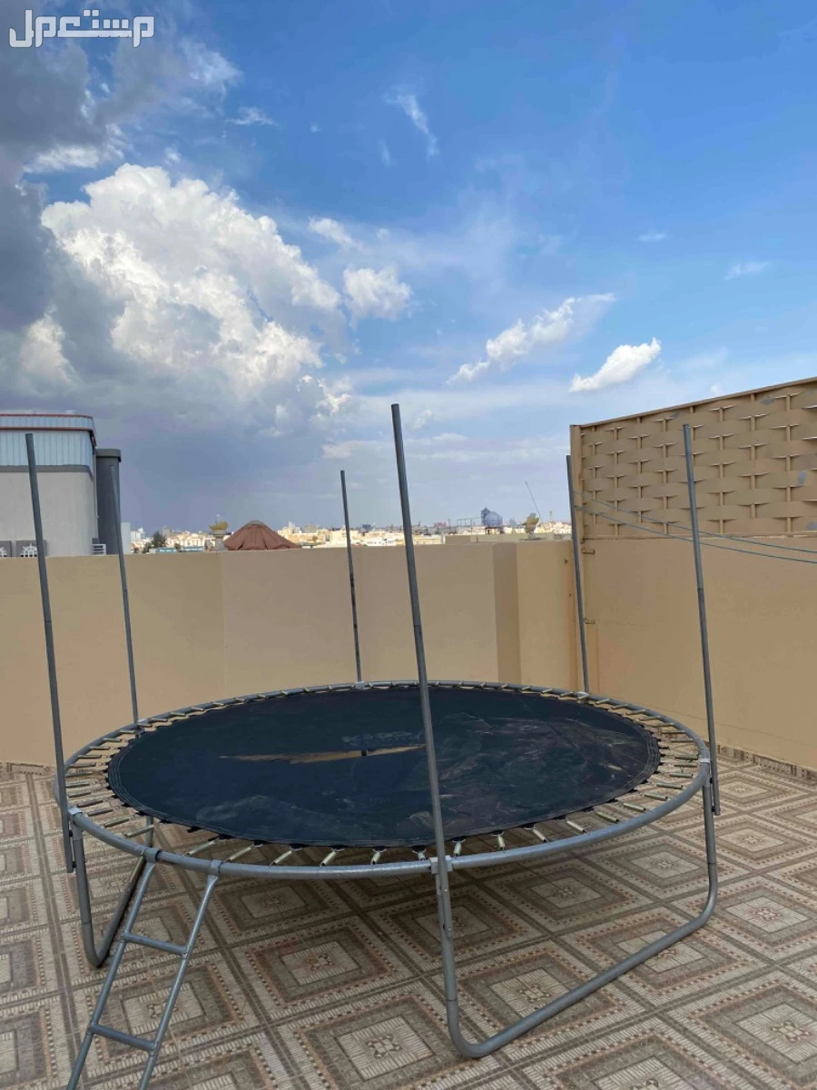نطيطا  في خميس مشيط بسعر 11 ريال سعودي
