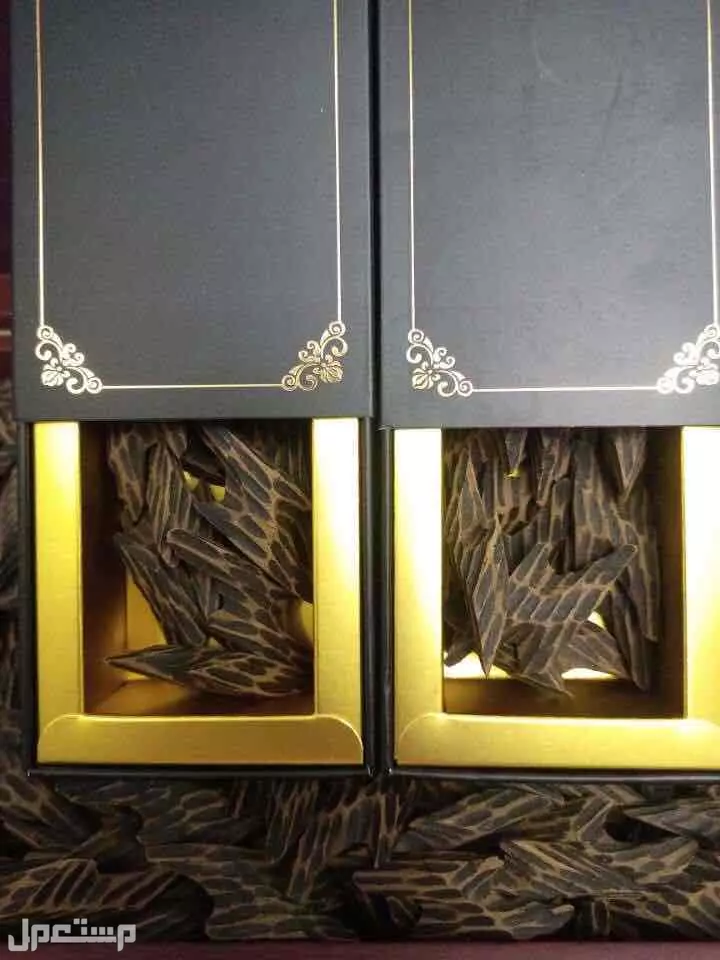 عود التايقر الفيتنامي المشروط لايفوتك