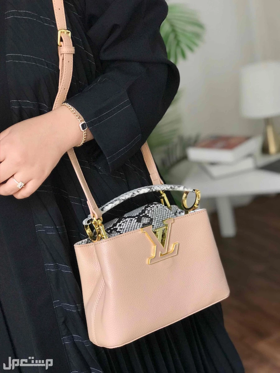 شنط ماركة لويس فيتون ماستر كوالتي شكلين