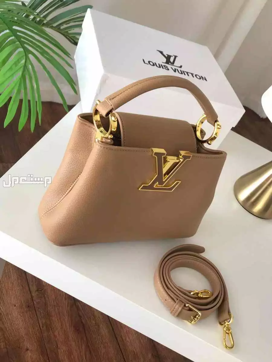شنط ماركة لويس فيتون ماستر كوالتي شكلين