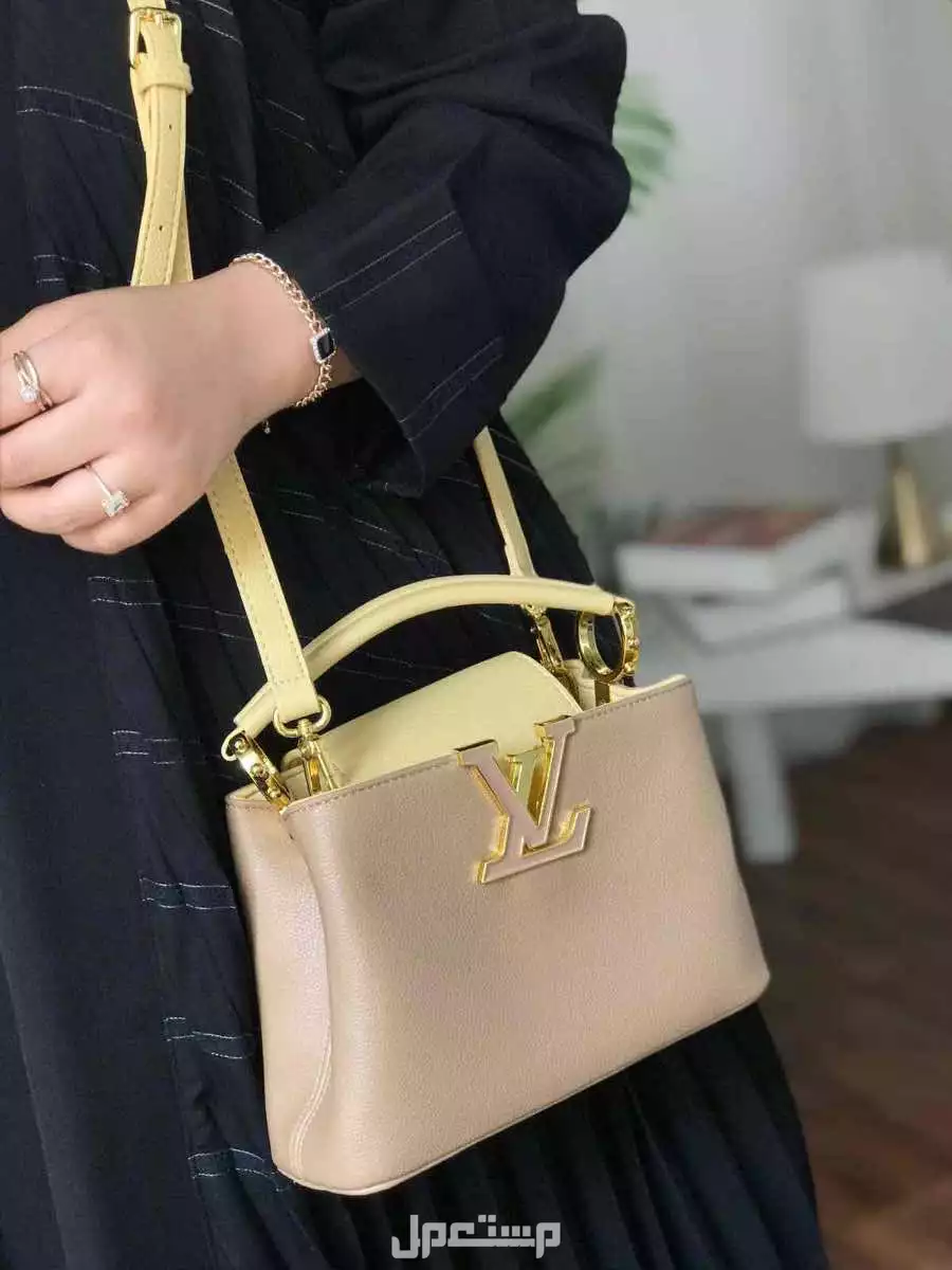 شنط ماركة لويس فيتون ماستر كوالتي شكلين