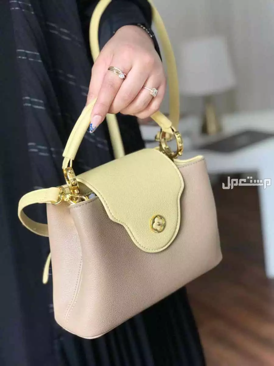 شنط ماركة لويس فيتون ماستر كوالتي شكلين