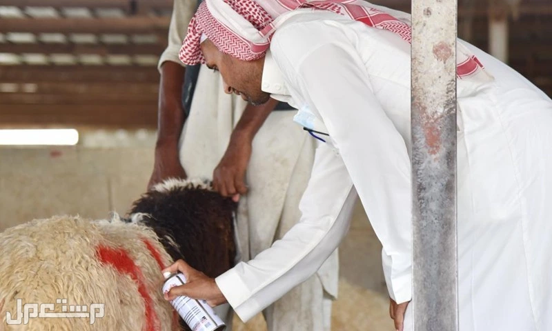 موعد وقفة عرفات وعدد أيام إجازة عيد الاضحى 2025 للموظفين والطلاب إجازة عيد الأضحى 1446