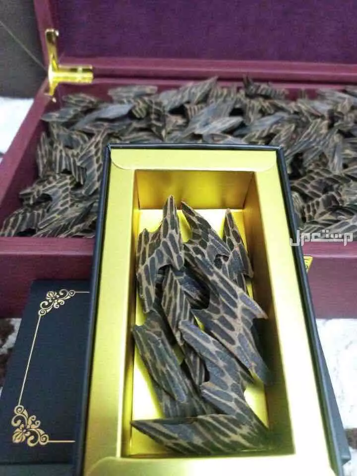 عود التايقر الفيتنامي الفاخر مشروط