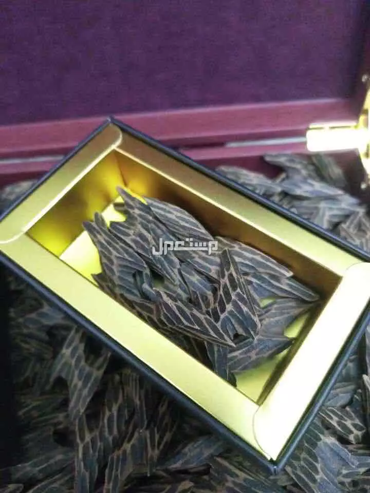 عود التايقر الفيتنامي الفاخر مشروط