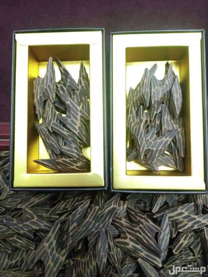 عود التايقر الفيتنامي الفاخر مشروط