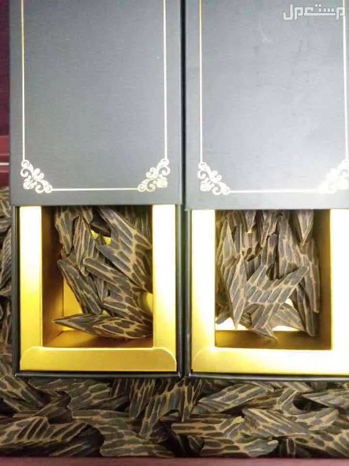 عود التايقر الفيتنامي الفاخر مشروط