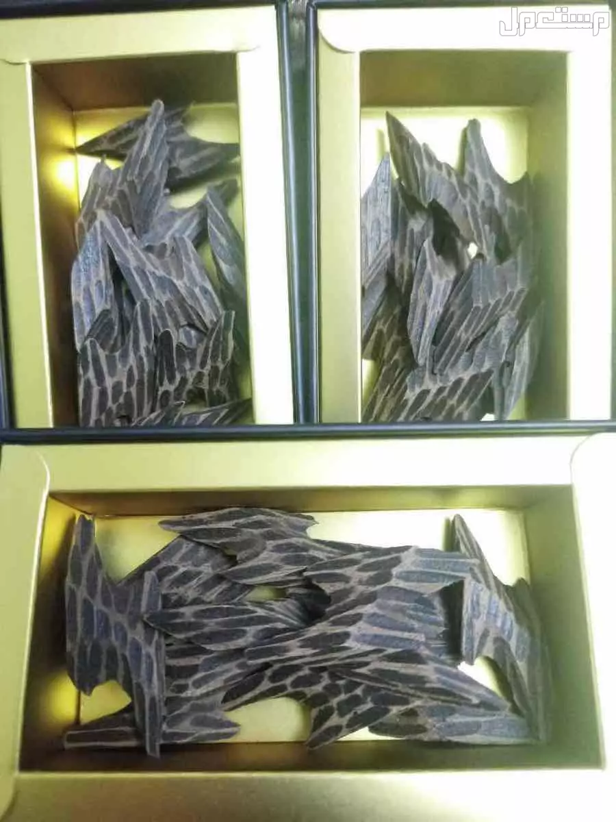 عود التايقر الفيتنامي الفاخر مشروط