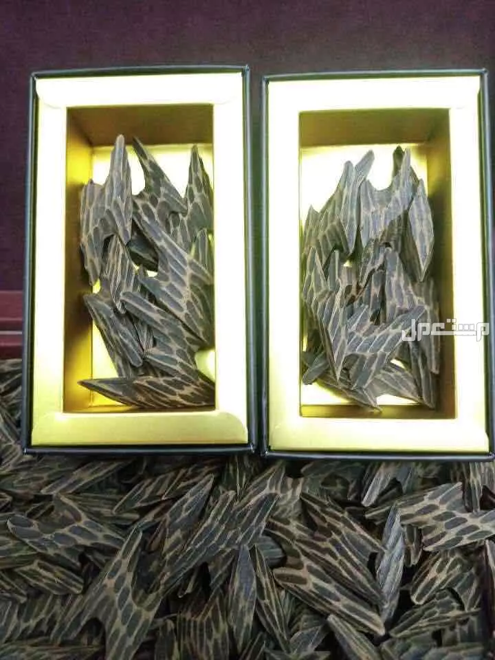 عود التايقر الفيتنامي الفاخر مشروط