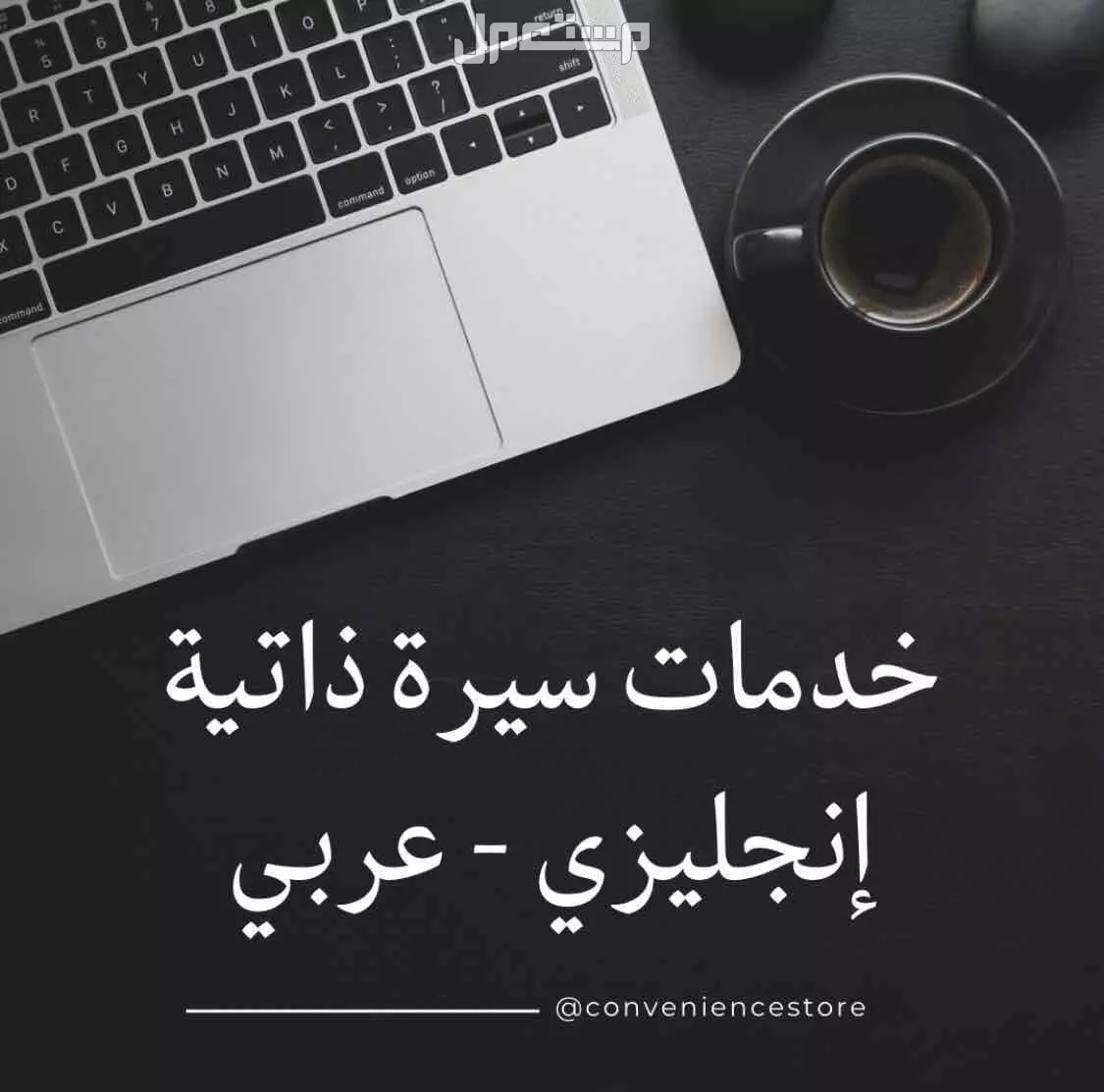 سيرة ذاتية لجميع التخصصات انجليزي عربي