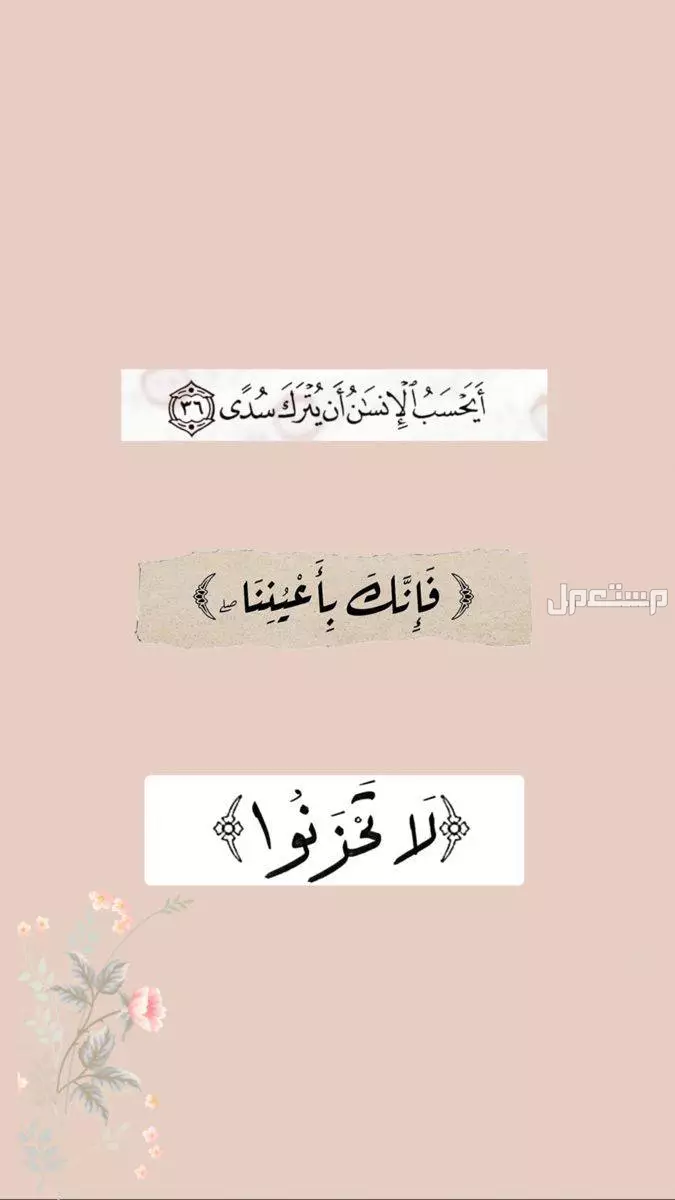 أقوى عبارات تحفيزية للطلاب للدراسة والنجاح 2025 بالعربي والإنجليزي صور آيات قرآنية تساعدك على الدراسة