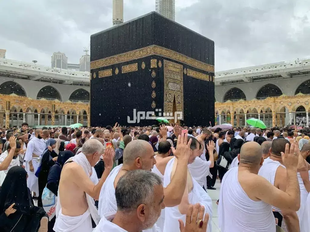 تقويم موسم العمرة لعام 1447.. وموعد اصدار التأشيرات مناسك العمرة بالصور