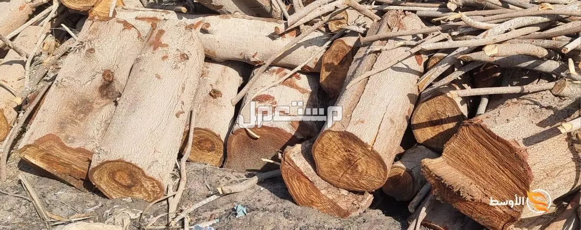 حطب الجازورين الطبيعي لغرض المشاوي , حطب مندي