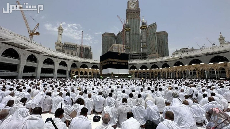 كيفية استخراج تصاريح الحج 1446 عبر تطبيق توكلنا حجاج بيت الله