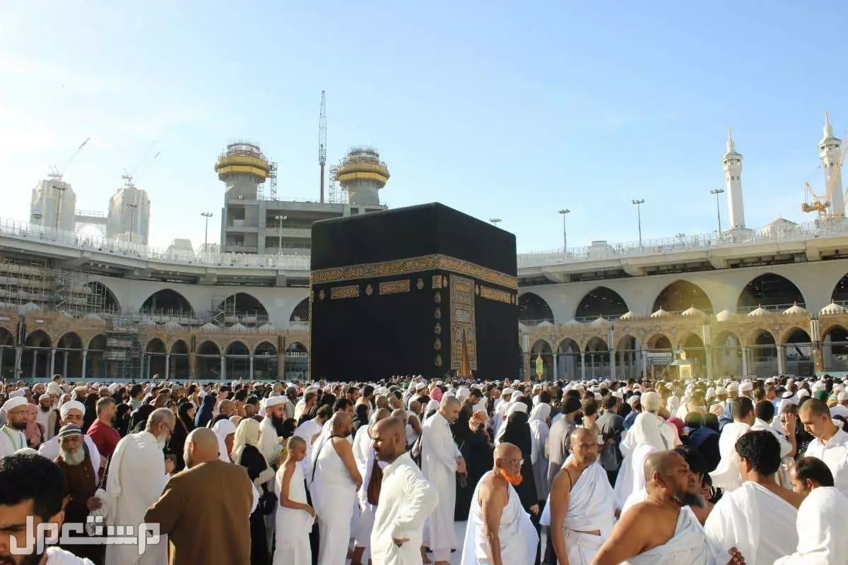 كيفية استخراج تصاريح الحج 1446 عبر تطبيق توكلنا شروط إصدار تصريح الحج