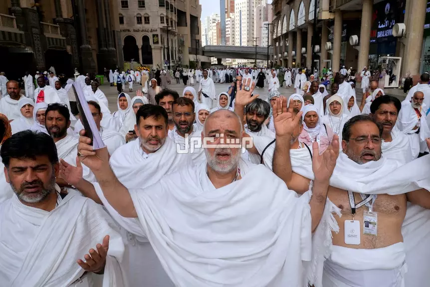 أجمل تهاني الحج 2025 مكتوبة وجاهزة وكيفية الرد عليها (صور) عبارات عن الحج والعمرة