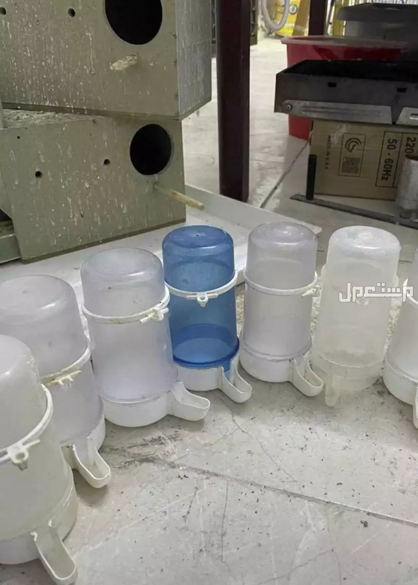 مسلزمات طيور اكلات ذكيه وحق شرب و بياضه