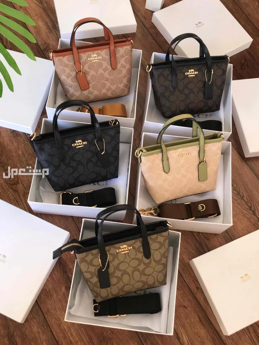 شنط ماركة كوتش ماستر كوالتي مع البكس
