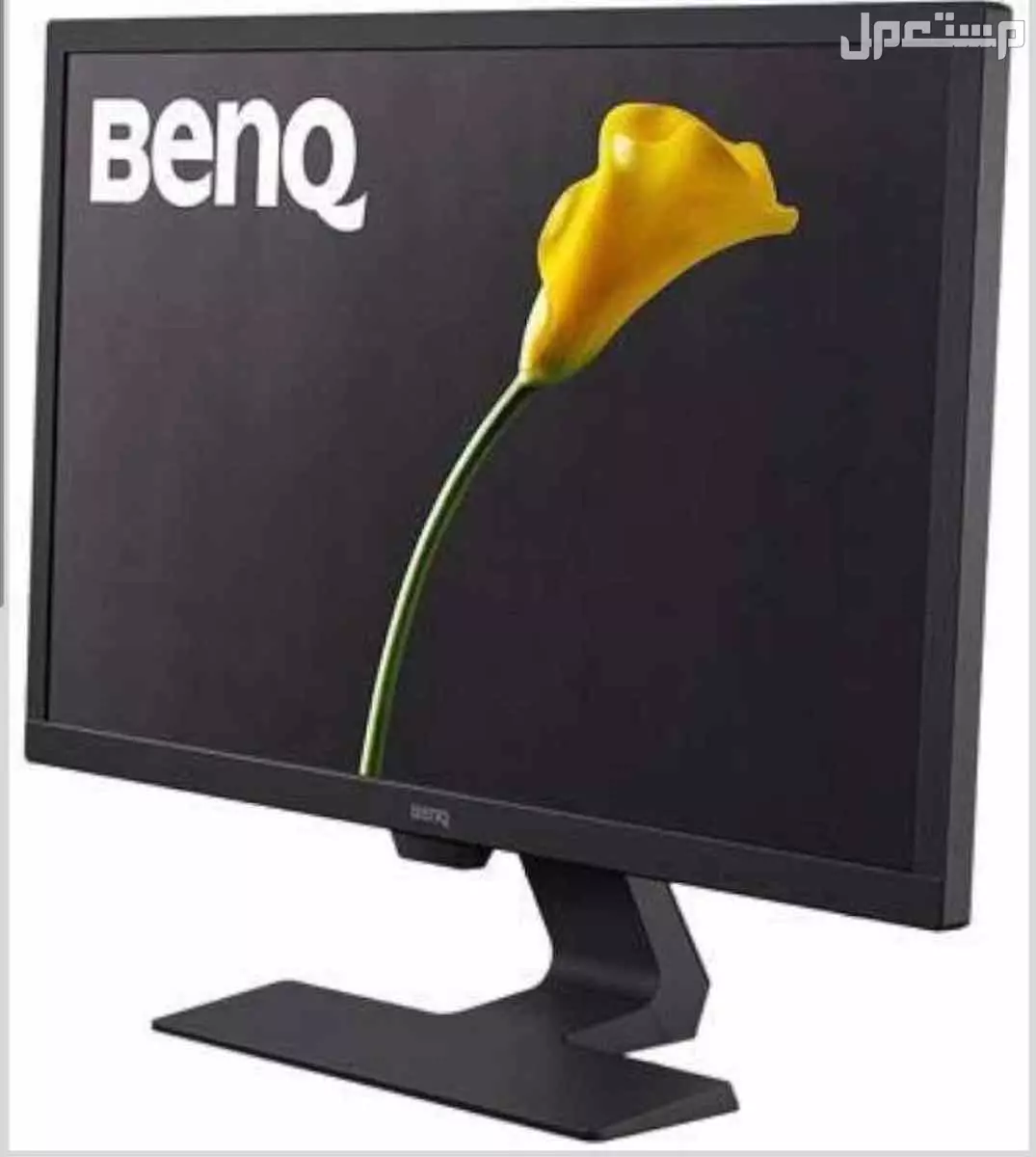 شاشه قيمنق LG و BENQ  في جدة بسعر 500 ريال سعودي