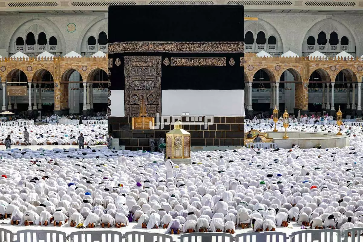 تفسير حلم العودة من الحج في المنام للرجل والمرأة: 5 دلالات تحمل البشرى حلم العودة من الحج في المنام