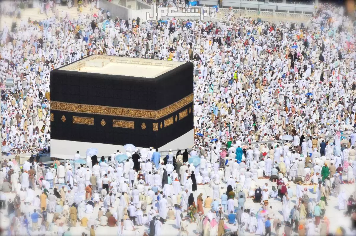 تفسير حلم العودة من الحج في المنام للرجل والمرأة: 5 دلالات تحمل البشرى تفسير حلم العودة من الحج والعمرة