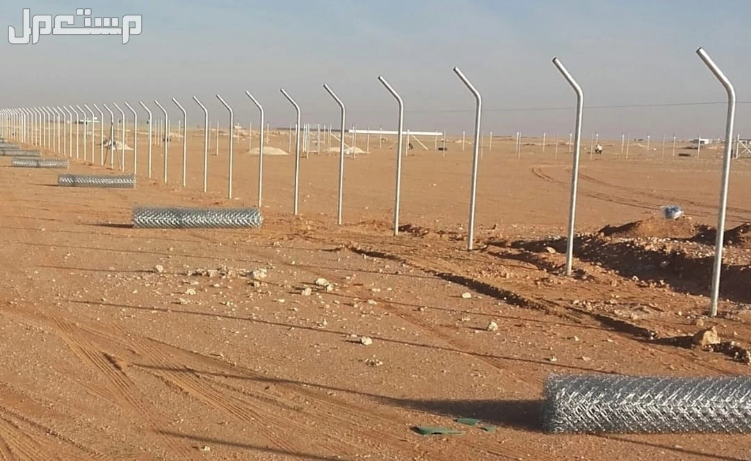 شبوك مضلات هناجرتراث نخل عربي واشنطون واشجار زيتون سدر جميع انواع الأشجار بسعر 5 آلاف