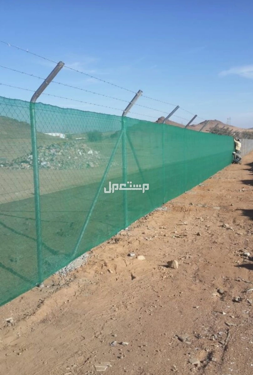 شبوك مضلات هناجرتراث نخل عربي واشنطون واشجار زيتون سدر جميع انواع الأشجار بسعر 5 آلاف
