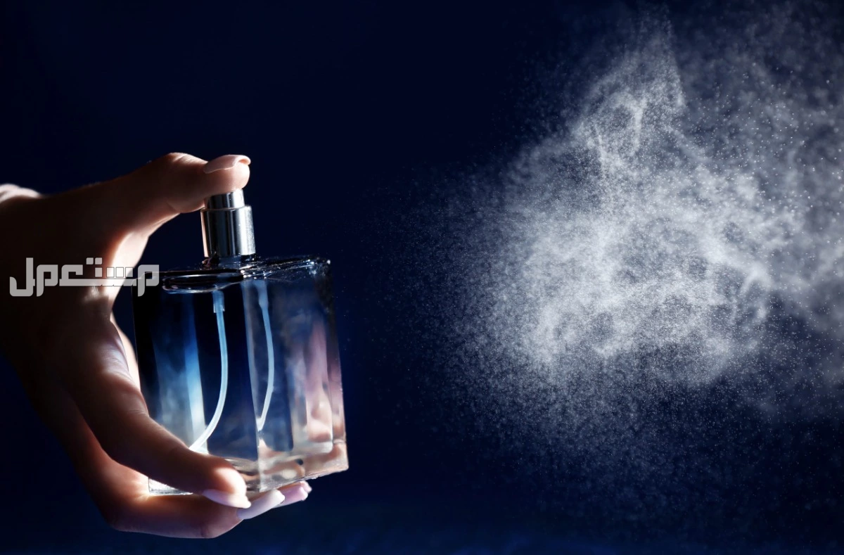 أجمل العطور النسائية صيفية مشهورة 2025 لكل المناسبات أفضل عطر نسائي صيفي