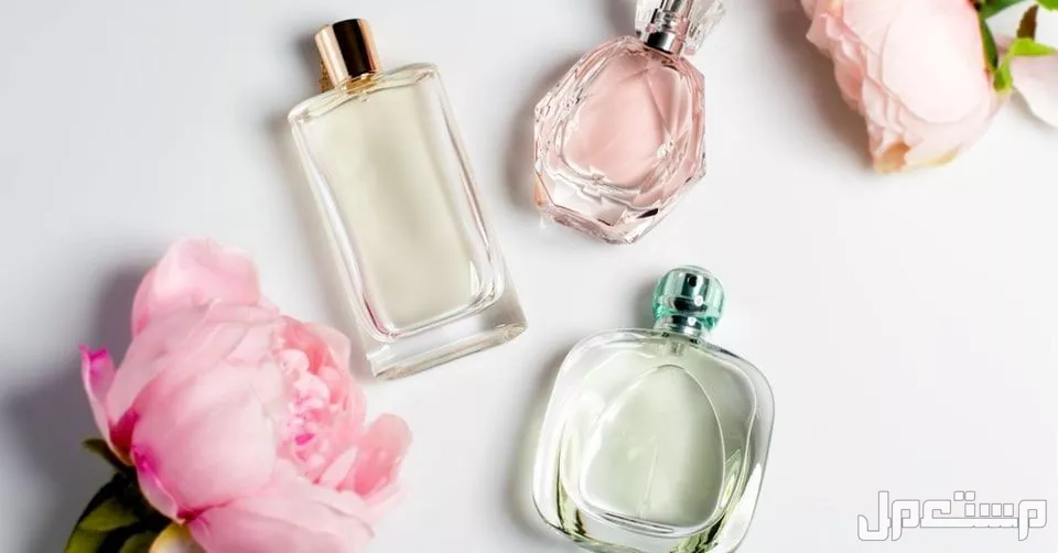 أجمل العطور النسائية صيفية مشهورة 2025 لكل المناسبات عطر نسائي ثابت وفواح