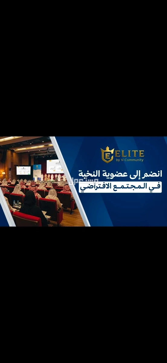 شركة فايبز للإستثمارات القابضه