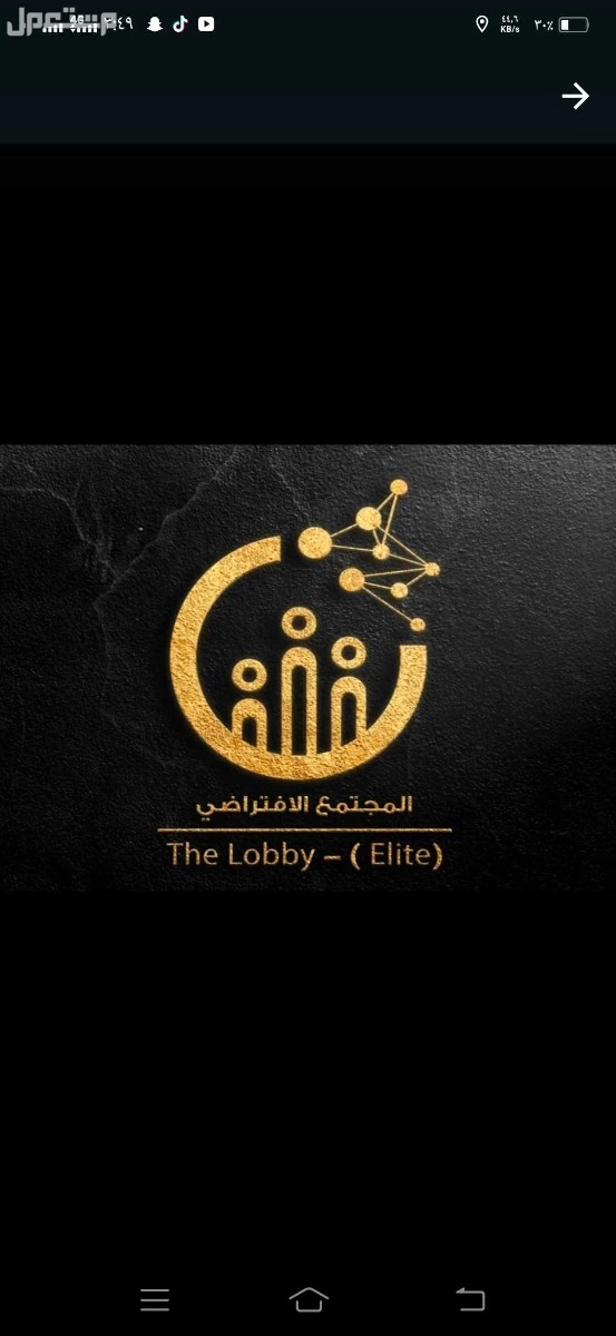 شركة فايبز للإستثمارات القابضه