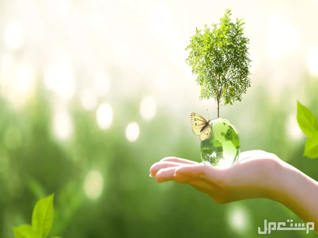عبارات جميلة قصيرة عن النجاح بالعربي والإنجليزي (صور) عبارات عن النجاح والتميز في العمل