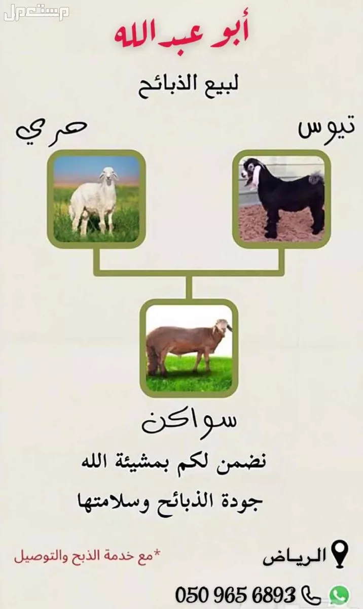 للبيع ذبايح اغنام مواشي فاخره في الرياض