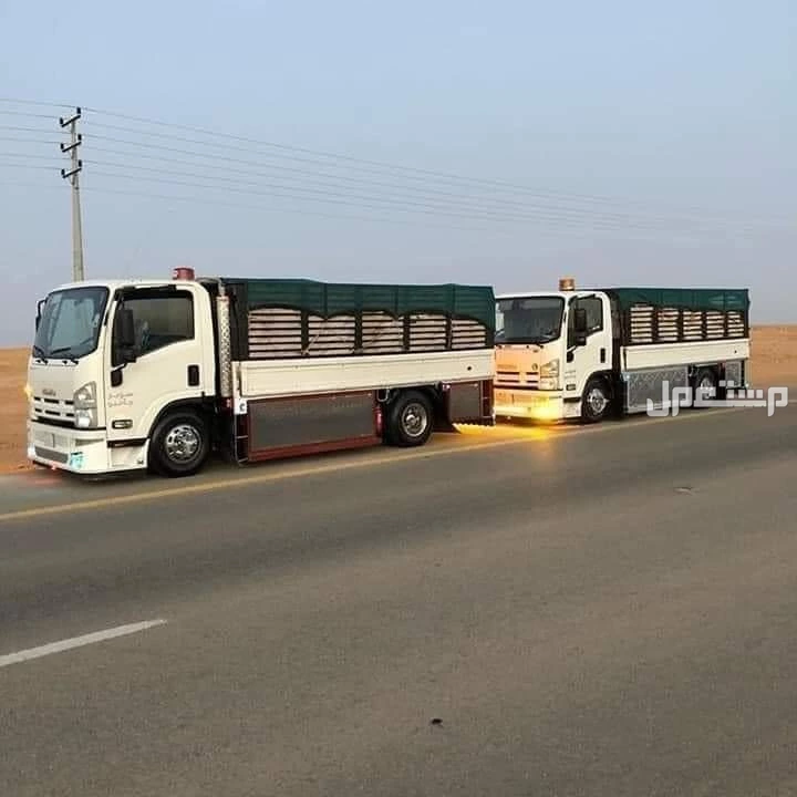 دينا اتخلص من الاغراض القديمة بالرياض