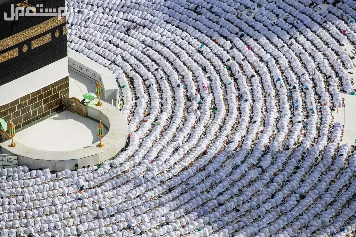 9 أخطاء يقع فيها الحجاج: مبطلات الحج للرجال والنساء احذرها الأخطاء الشائعة في الحج