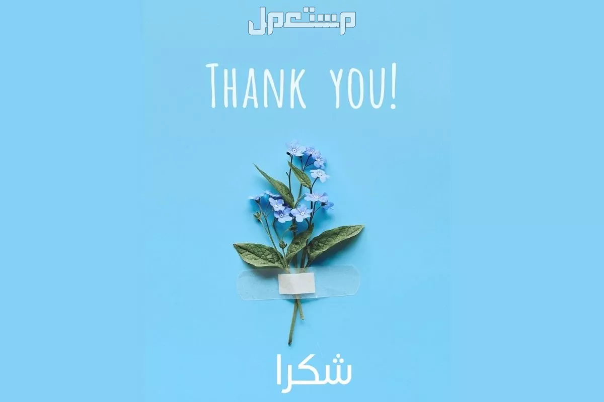 عبارات شكر على هدية قصيرة 2025 للأهل والأصدقاء مع الصور صور رسالة شكر