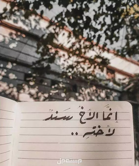 أجمل عبارات وكلمات عن الأخ 2025 مكتوبة بالصور أجمل كلام عن الأخوة