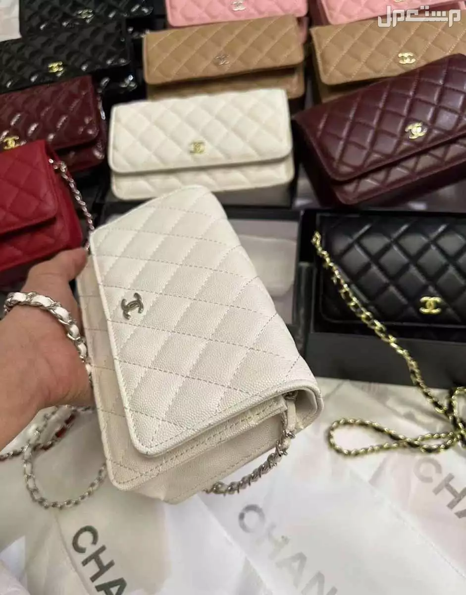 شنط شانيل ماستر كوالتي 4 موديلات احجام  في الرياض